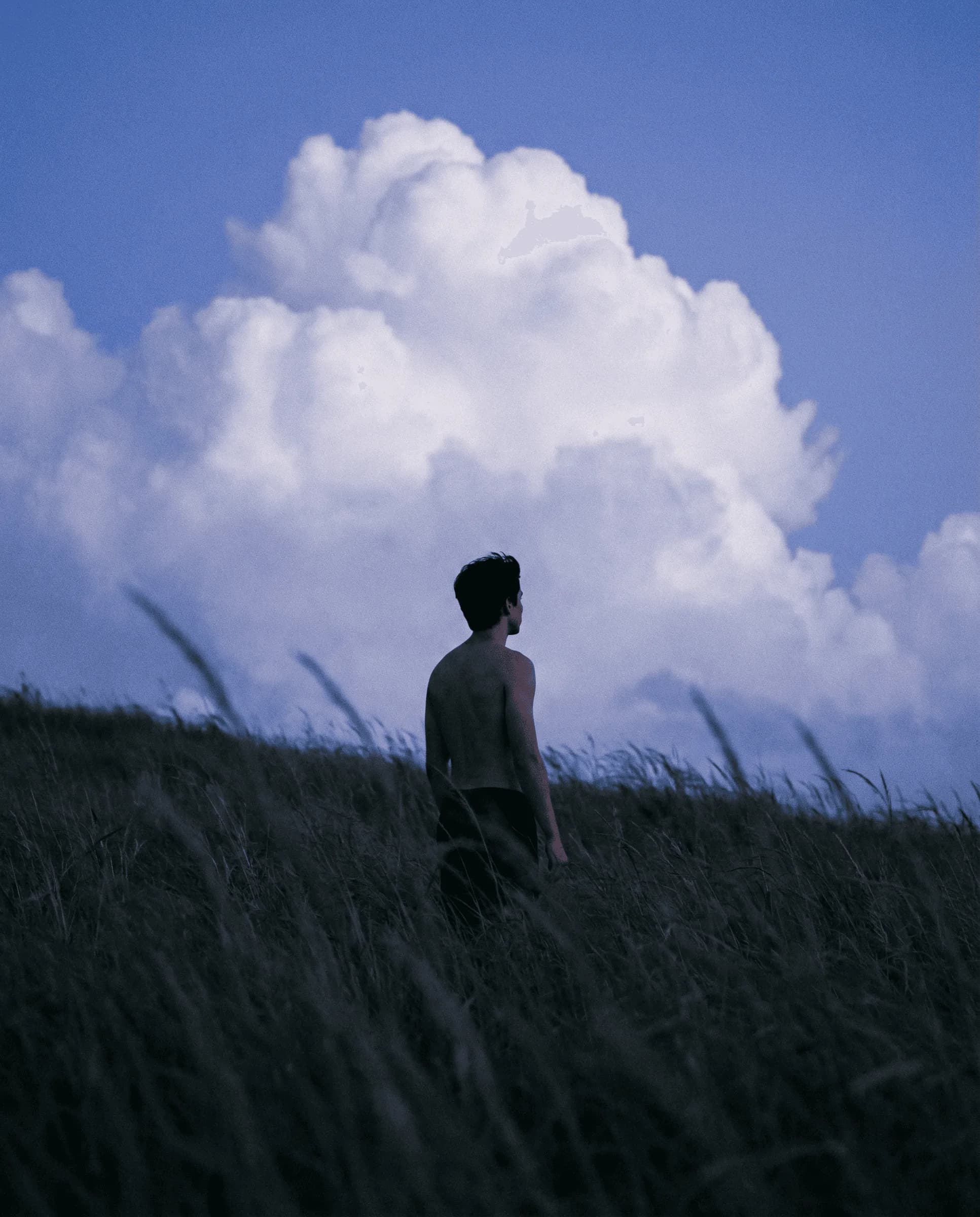 A person standing in tall grass looking up at a large white cloud in a bright blue sky.